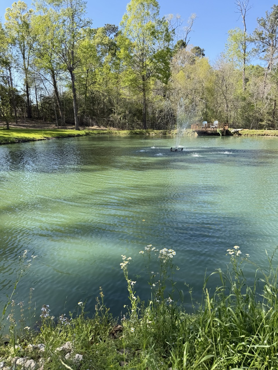 Spring-fed pond and fountain at Blue Pond Retreat